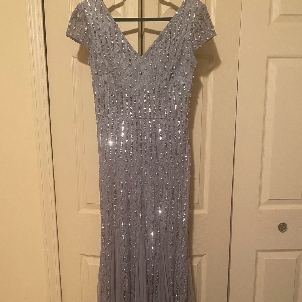 Maxi length Prom Occassion Evening Dress - Adrianna Papell - Size 2